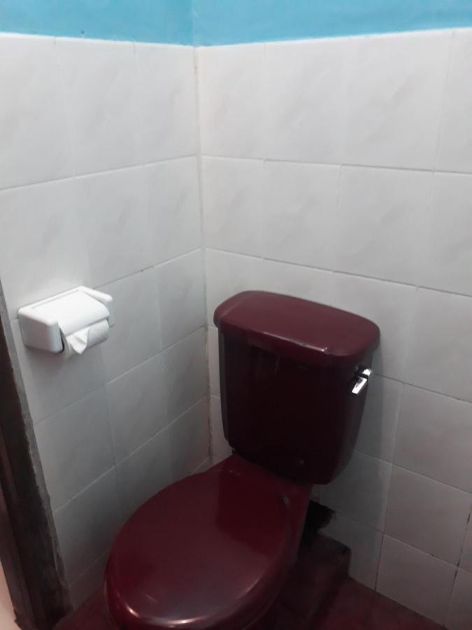 Cafe Lava Hostel 브로모 외부 사진